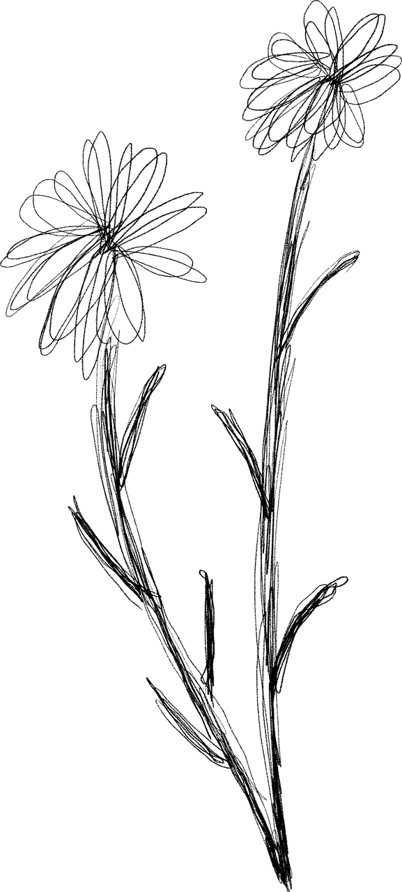 Créer sans savoir dessiner : le journal intime créatif n'est pas un cours d'arts plastiques