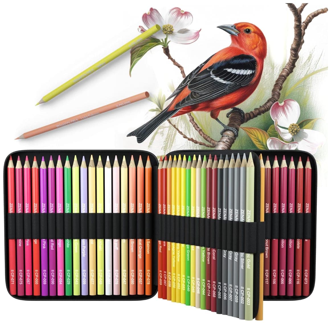 Crayons de couleur — Grand choix